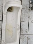 廁所堵住
