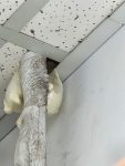 準備室須封住老鼠洞
