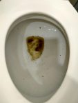 坐式馬桶堵塞