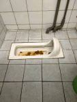 蹲式馬桶堵塞