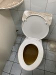 社大辦公室旁一樓男廁第二間坐式馬桶不通