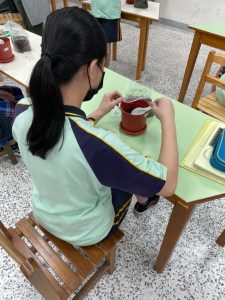 1100423 職業教育-植栽代表照片